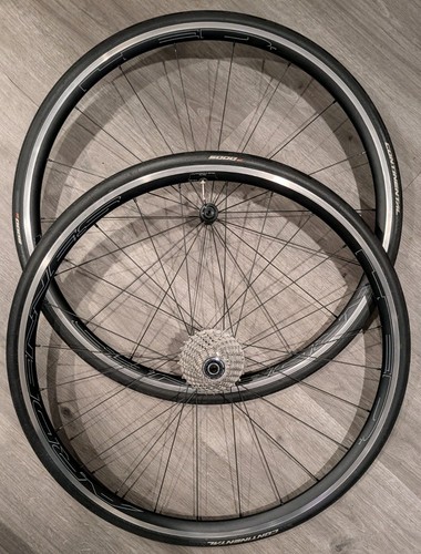 Hed ardennes pro - hed, ra